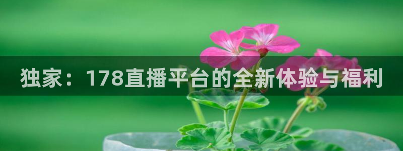 新闻图片