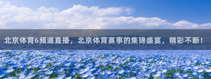 北京体育6频道直播，北京体育赛事的集锦盛宴，精彩不断！