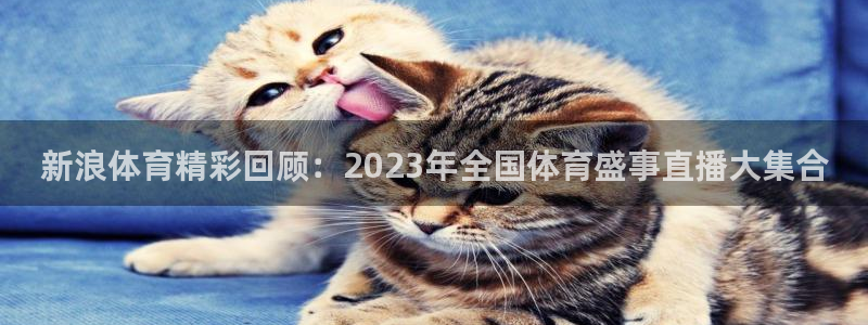 新浪体育精彩回顾：2023年全国体育盛事直播大集合