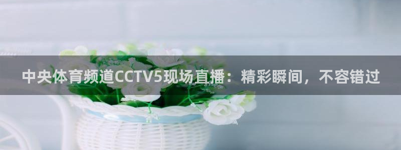 中央体育频道CCTV5现场直播：精彩瞬间，不容错过