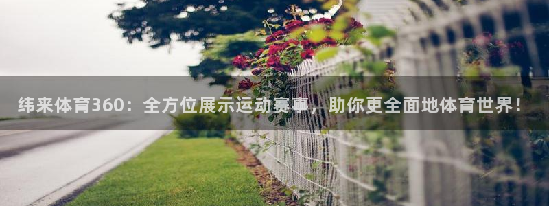 纬来体育360：全方位展示运动赛事，助你更全面地体育世界！