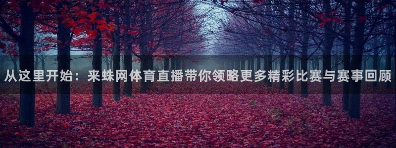 从这里开始：来蛛网体育直播带你领略更多精彩比赛与赛事回顾