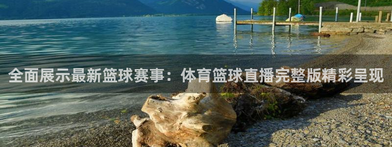 全面展示最新篮球赛事：体育篮球直播完整版精彩呈现