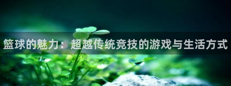 篮球的魅力：超越传统竞技的游戏与生活方式